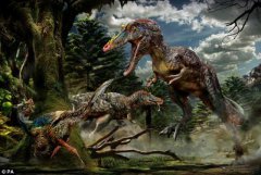 中国最新挖掘出一种全新的恐龙物种化石